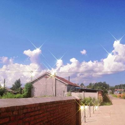 加拿大pc试玩平台下载手机版